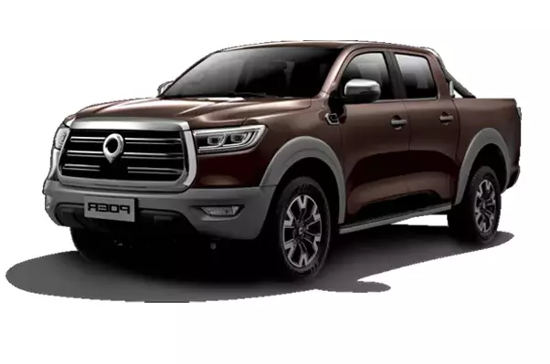 Haval Great Wall Poer
