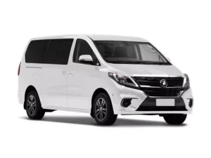 Forthing M7 Forthing M7