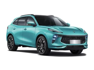 Forthing T5 Evo Forthing T5 Evo